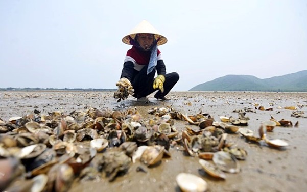 Bộ TN&MT kiểm tra công tác khắc phục sự cố môi trường biển