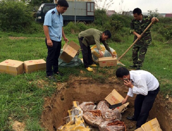 Quảng Ninh: Thu giữ, tiêu hủy 240kg lòng lợn vô chủ - Hình 1