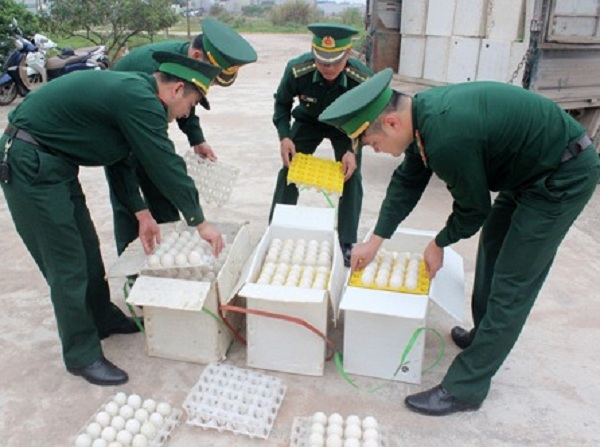 Đồn Biên phòng Bắc Sơn: Bắt giữ 24.000 quả trứng gà nhập lậu