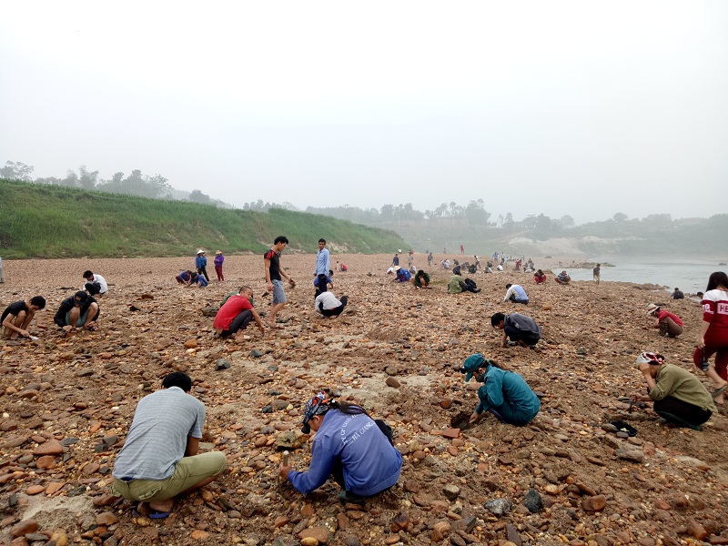 Phú Thọ: “Rừng” người đổ xô đi tìm “đá quý” trên sông Chảy