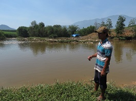 Thừa Thiên-Huế: Tiêu hủy hơn 6500 con vịt nhiễm cúm A/H5N6