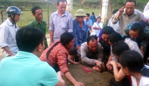 Sét đánh trúng nhà, một phụ nữ nguy kịch