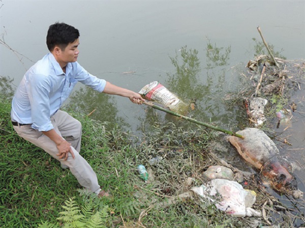 Vĩnh Phúc: Công tác kiểm tra, giám sát tiêu hủy xác gia súc còn hạn chế