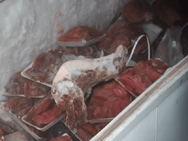 Cao Bằng: Thu giữ hơn 2 tấn thịt lợn đông lạnh không rõ nguồn gốc - Hình 1
