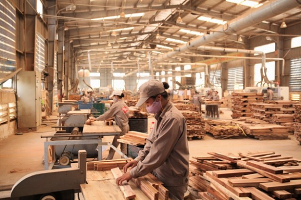 Hiệp định Đối tác tự nguyện VPA: Cơ hội hay thách thức doanh nghiệp gỗ Việt Nam! - Hình 1