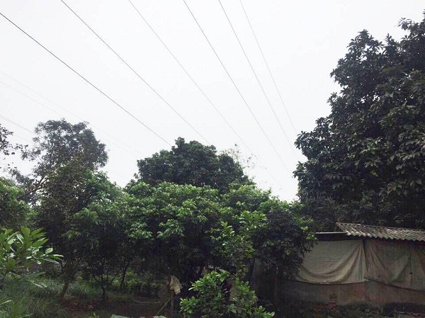 Quốc Oai (Hà Nội): Gần 10 năm sống chung với “tử thần” khi chưa được đền bù thỏa đáng?