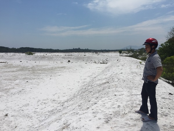 Thừa Thiên Huế: Rừng phòng hộ ven biển bị đốn hạ để nuôi tôm trên cát - Hình 1