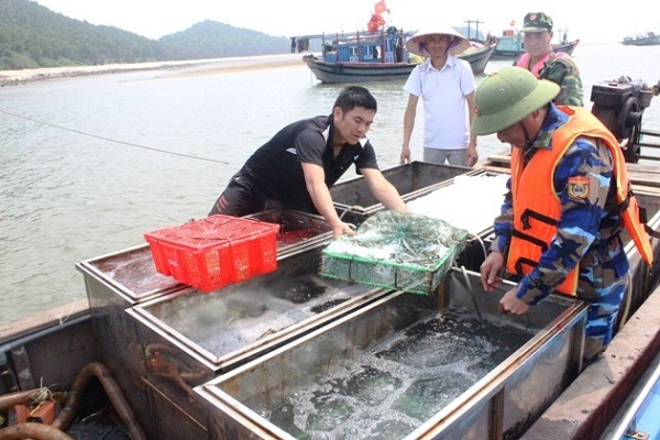 Quảng Ninh: Bắt giữ 170 kg hải sản tươi sống trái phép - Hình 1