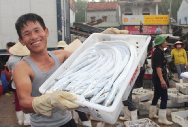 Nghệ An: Ngư dân trúng mẻ cá hơn một tỷ đồng - Hình 1