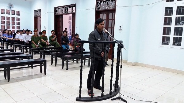 TP. Pleiku (Gia Lai): Hai đối tượng lãnh án vì phá rừng phòng hộ