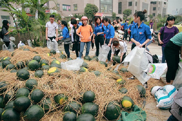 Nông sản Việt: Giải cứu… giải cứu! - Hình 1