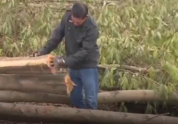 Đồng Nai: Doanh nghiệp tự ý phá rừng của dân làm khu công nghiệp?