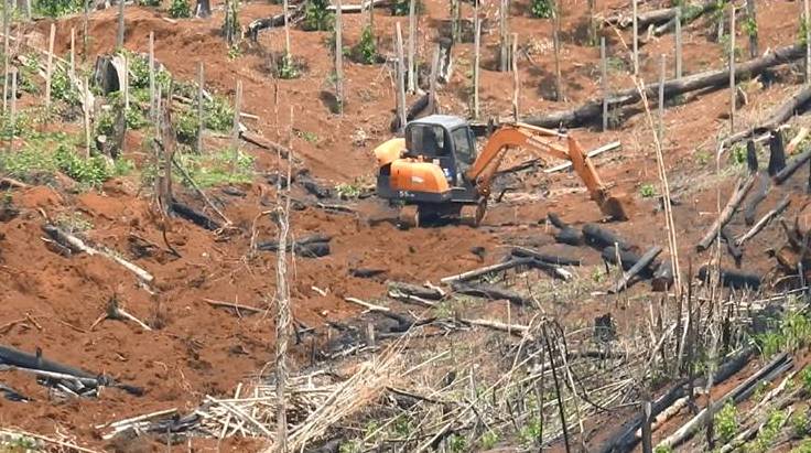 Vụ rừng Đắk Nông bị triệt phá: Đình chỉ công tác 3 cán bộ kiểm lâm thiếu trách nhiệm - Hình 8