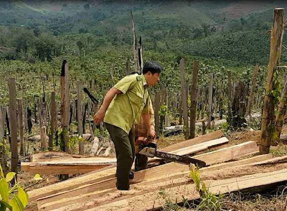 Vụ rừng Đắk Nông bị triệt phá: Đình chỉ công tác 3 cán bộ kiểm lâm thiếu trách nhiệm - Hình 7