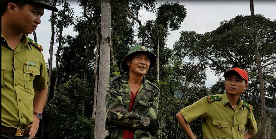 Vụ rừng Đắk Nông bị triệt phá: Đình chỉ công tác 3 cán bộ kiểm lâm thiếu trách nhiệm - Hình 6
