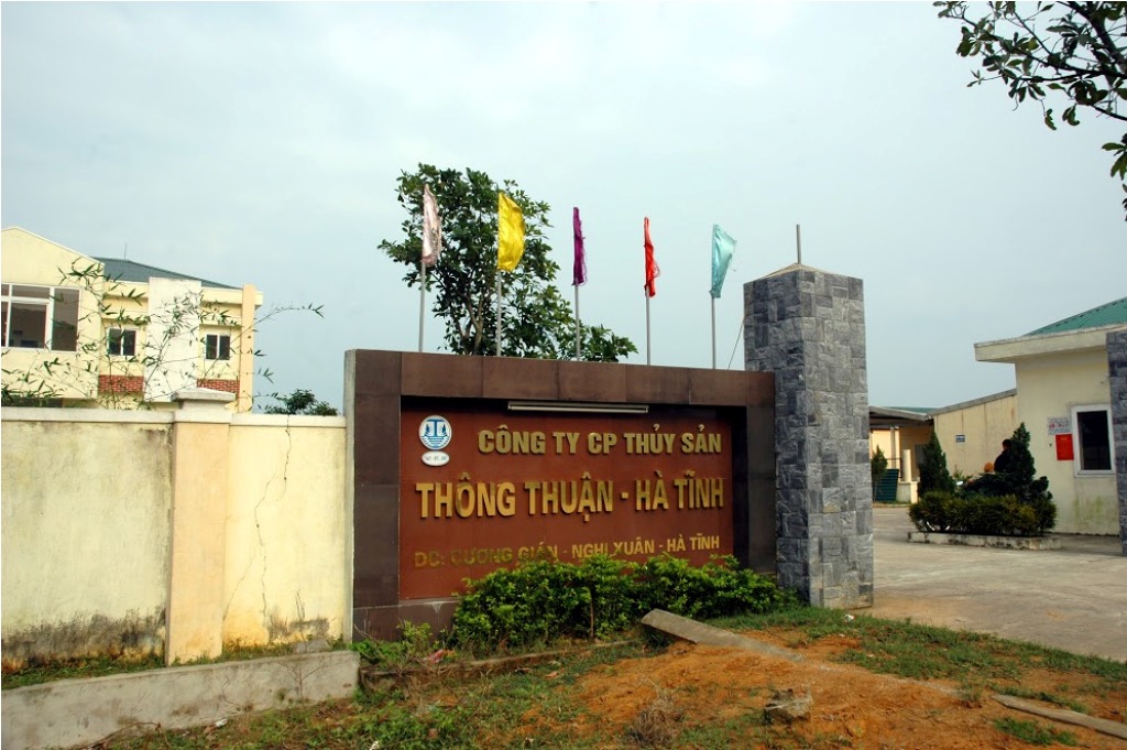 Công ty CP Thủy sản Thông Thuận (Hà Tĩnh): Cung cấp tôm giống uy tín, chất lượng - Hình 1