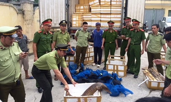 Thanh Hóa: Bắt giữ vụ vận chuyển hơn 122 kg tê tê - Hình 1
