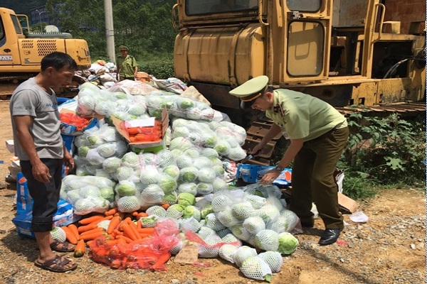Nghệ An: Phát hiện và bắt giữ hơn 1 tấn rau, củ không xuất xứ - Hình 1