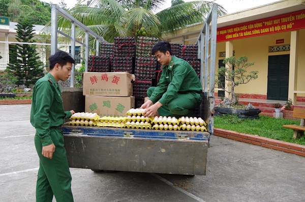 Lào Cai: Bắt vụ vận chuyển 24 nghìn quả trứng gia cầm lậu - Hình 1