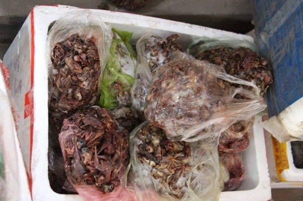 Hà Tĩnh: Phát hiện, thu giữ hơn 200 kg thịt chim đã bốc mùi ôi thiu