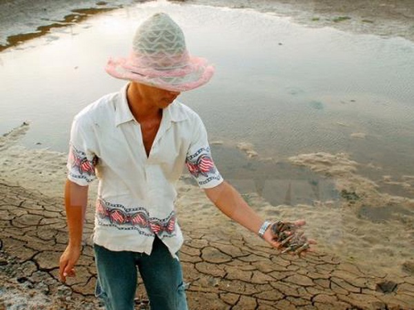 Phát huy tiềm năng nghề nuôi tôm trên cát