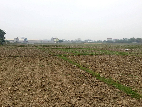 Huyện Hiệp Hòa (Bắc Giang): Thu hồi đất nông nghiệp của người dân rồi bỏ hoang suốt 10 năm? - Hình 2