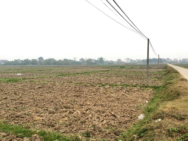 Huyện Hiệp Hòa (Bắc Giang): Thu hồi đất nông nghiệp của người dân rồi bỏ hoang suốt 10 năm? - Hình 1