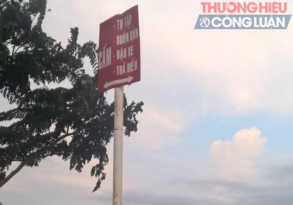 TP. HCM: Thư giãn... xả rác trên nóc hầm Thủ Thiêm