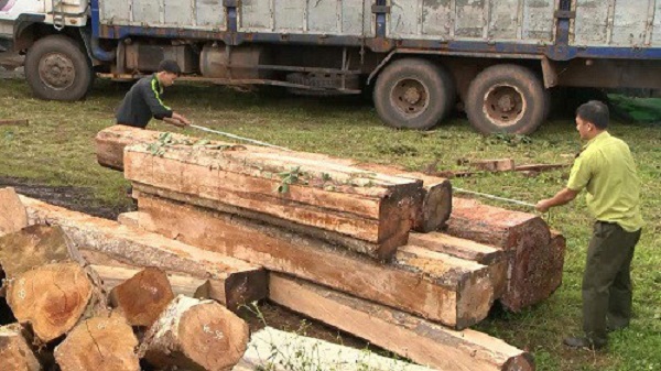 Các Hiệp hội ngành Gỗ Việt Nam cam kết không sử dụng gỗ bất hợp pháp - Hình 1