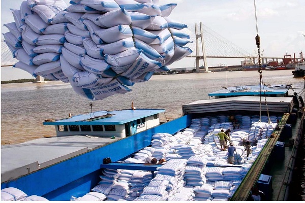 Lần đầu tiên xuất khẩu gạo tăng trở lại sau thời gian dài sụt giảm - Hình 1