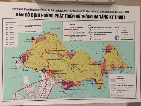 Chưa được triển khai quy hoạch Bán đảo Sơn Trà trong 3 tháng tới - Hình 1