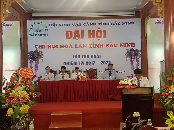 Tưng bừng ngày hội triển lãm hoa lan tỉnh Bắc Ninh mở rộng lần thứ Nhất - Hình 1