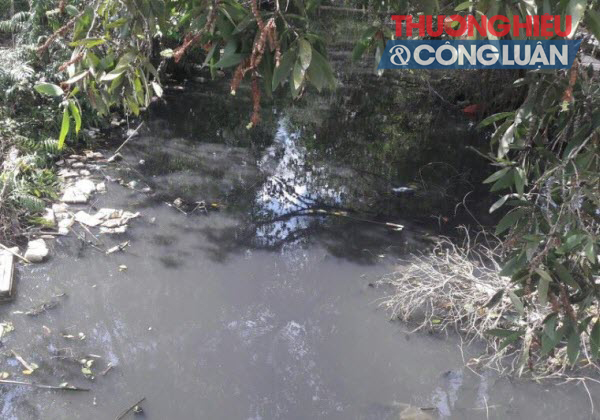 Bạc Liêu: Người nuôi tôm khốn đốn do nguồn nước bị ô nhiễm