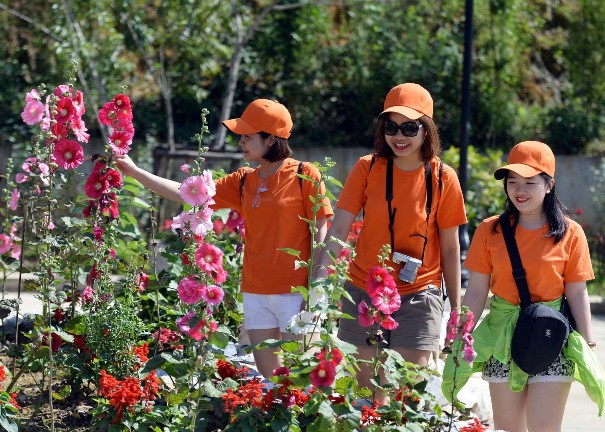 Vì sao giới trẻ đua nhau tới "Thành phố trong mây" Sun World Fansipan Legend hè này