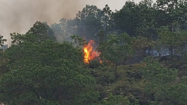 Xảy ra nhiều vụ cháy rừng trong đợt nắng nóng vừa qua - Hình 2