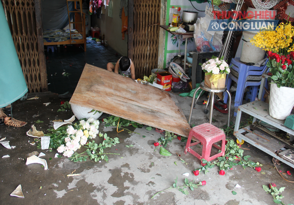 Phá hoại tài sản của hàng xóm chỉ vì con mèo