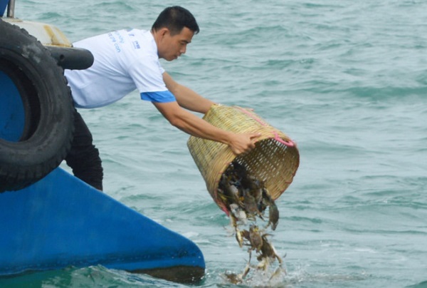 Thả hơn 4 triệu con ghẹ giống xuống biển Phú Quốc