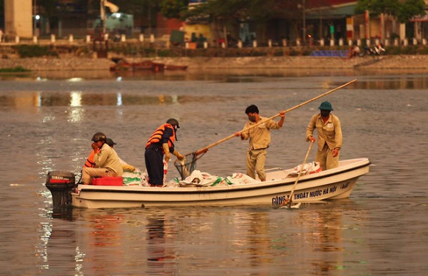 Hà Nội: Cá lại chết trên hồ Hoàng Cầu - Hình 1