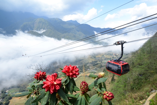 Người dân Lào Cai được giảm giá vé cáp treo Fansipan Legend