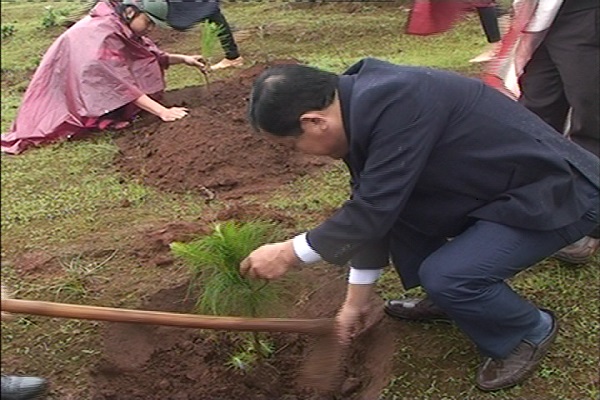 TP. Pleiku (Gia Lai): Gần 800 người đội mưa trồng cây “Đời đời nhớ ơn Bác Hồ” - Hình 3