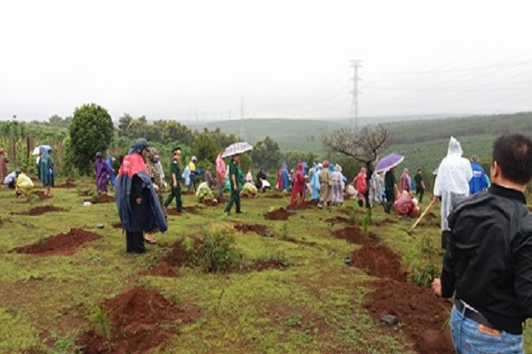 TP. Pleiku (Gia Lai): Gần 800 người đội mưa trồng cây “Đời đời nhớ ơn Bác Hồ” - Hình 4