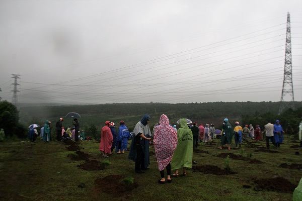 TP. Pleiku (Gia Lai): Gần 800 người đội mưa trồng cây “Đời đời nhớ ơn Bác Hồ” - Hình 4