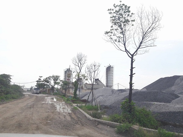 Hải Dương: Công ty Phượng Hoàng vi phạm pháp luật về đê điều