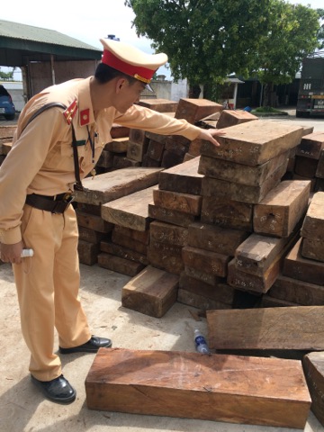 Thanh Hóa: Bắt giữ vụ chuyển gỗ lậu không có giấy tờ hợp lệ - Hình 2
