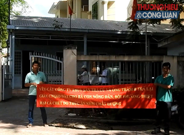 Trà Vinh: DN gian dối, nông dân điêu đứng - Bài 10: Cầu cứu lãnh đạo tỉnh!