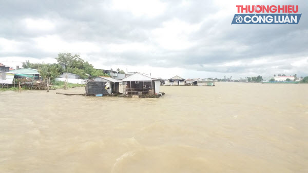 Nỗi lo ô nhiễm môi trường sông Hậu - Bài 1: Vai trò của sông Hậu