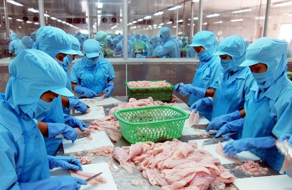 Thu về 17 tỷ USD từ xuất khẩu nông, lâm thuỷ sản 6 tháng đầu năm 2017