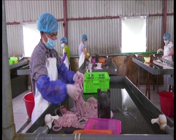 Lạng Sơn: Tiêu hủy 4,4 tấn thịt thủ lợn không bảo đảm VS ATTP - Hình 1