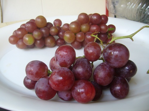 Cách nhận biết nho Trung Quốc