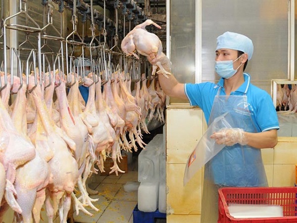 Thịt gia cầm Việt Nam xuất khẩu chính ngạch vào Nhật Bản - Hình 1